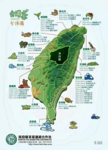 Taiwanese tea farms