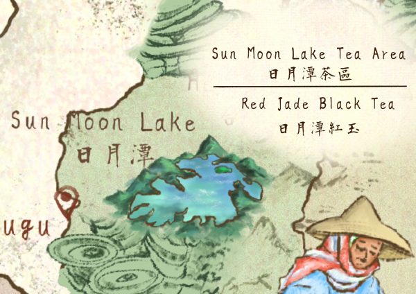 sun moon lake tea area