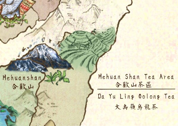 hehuan shan tea area
